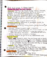 BIO 162 Week 1 Notes