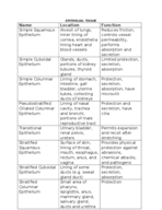 CBIO 2200 Semester Notes