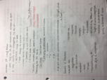 PHYS 17200 Vectors, Motion, & Velocity