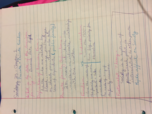 Sociology Notes 