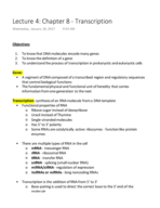 Week 2 (Lecture 4 - Chapter 8 - Transcription Notes)