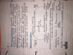 Accounting 210: Chapter 1 and 2 notes