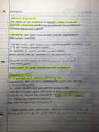 Macroeconomics Week 2 Lecture Notes