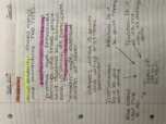Replogle Week 2 Notes