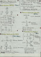 Exam 1 Study Guide 