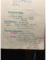 World Civ Lecture Notes Week 2