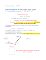 Vertebrae Notes