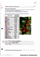 STA2122 Week 2 Notes