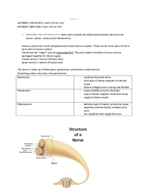 BIO 212- KLESATH- TEST TWO LEARNING OBJECTIVES/STUDY GUIDE!