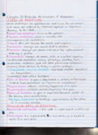 Genetics Week Two Notes
