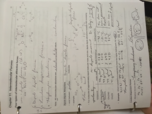 Chapter 11 Week 1