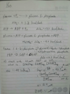 BIO FOUND CHEM ENG 210