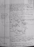 Leadership & Society, Week 1 Notes