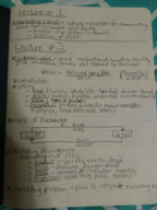 Principles of Marketing Week 2 Notes
