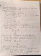 Genetics Week 1 Notes