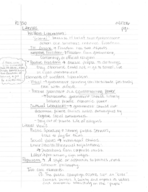 Public Policy Week 2 Notes