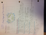 Learning Exercise 1 Notes: Phase Changes and Thermodynamics