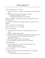 text
