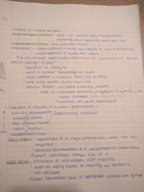 Bio stats week 2