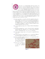 Case__1.pdf