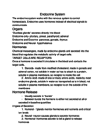 Anatomy and Physiology 2: Endocrine System Notes