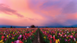 Test Upload