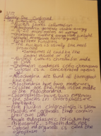 BIO 2600 Week Two Notes