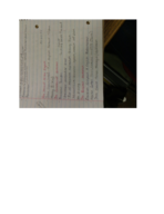 History Notes Week 2