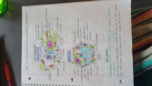BSCI 30140, week 1 notes, chapter 17 Actin Filaments