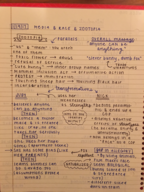 Race/Gender/Ethnicity Notes Week 2