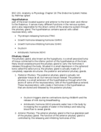 A & P II 