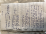 Week 3 Notes 