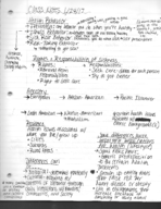 HES 145, Week 2 Notes
