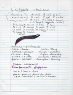Italian notes 2