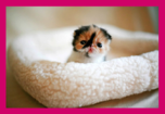 Test Upload