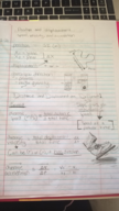 PHY 131 Week 1-2