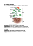 Lab Study Guide 