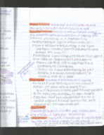 Chapter 9 Notes