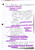 PSY 381 Week 3 Notes