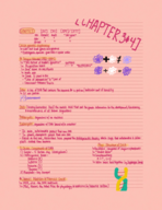 Week 3-4 Notes 