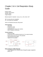 Cellular Respiration 