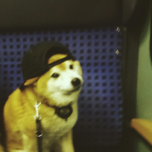 Test upload