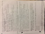 Soc205