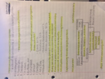 Soc 205