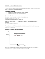 ECON 301 - Lecture 2 - Budget Constraints