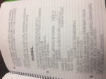 American Gov week 2