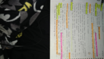 Anthropology Midterm 1 Study Guide