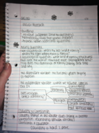 Soc-100 Notes from 1/31
