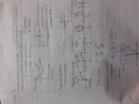 Week One Sample of Notes Taken
