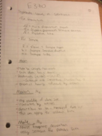 Weeks 1-3 Notes